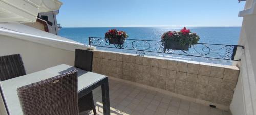 a balcony with two plants on a railing and the ocean at B&B DaGiueli in Alassio