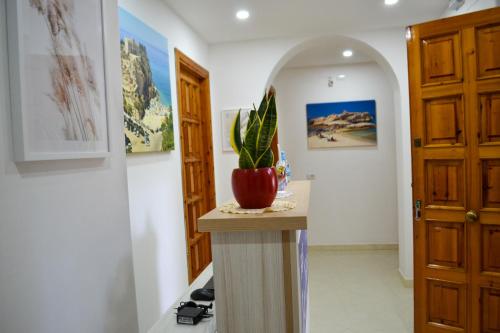 a hallway with a table with a plant on it at Le Twins -Bed and Breakfast in Tropea