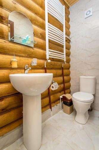 a bathroom with a white sink and a toilet at Snow Time Eco Chalet in Gudauri