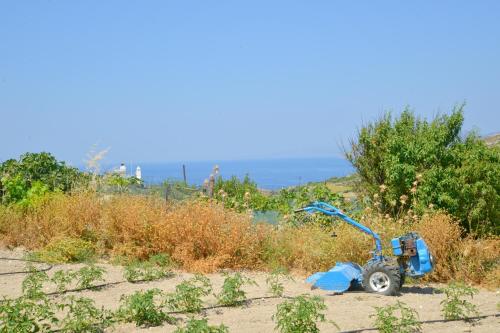 un scooter bleu garé sur le côté d'une colline dans l'établissement Alkyonis Apartment Milos, à Triovasálos