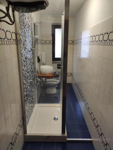 a bathroom with a shower with a toilet and a mirror at Appartamento nel verde a Gravere in Gravere