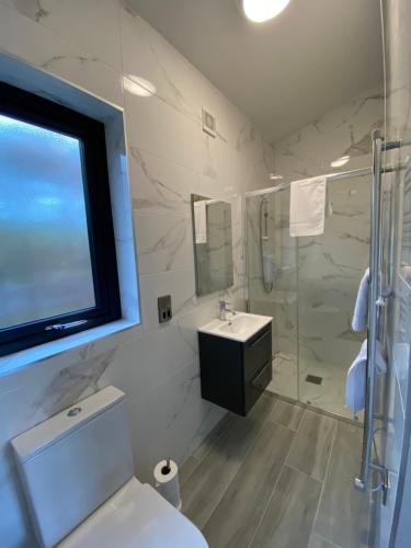 uma casa de banho com um WC, um lavatório e um chuveiro em Tullybay Holiday Lodges em Enniskillen