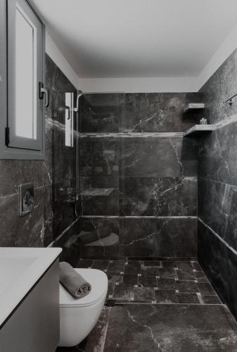 a bathroom with a toilet and a shower at Palacio del Sol Luxury Apartments in Nafplio