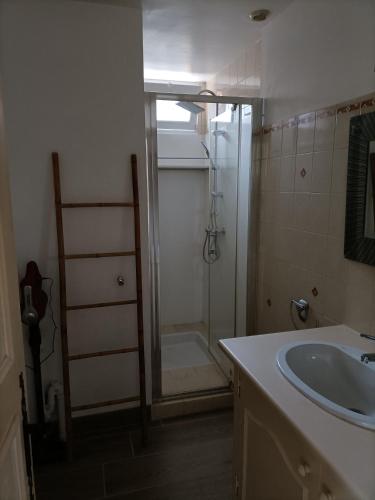 ein Bad mit einer Dusche und einem Waschbecken in der Unterkunft Gîte T3 Sarlat d'oie in Sarlat-la-Canéda