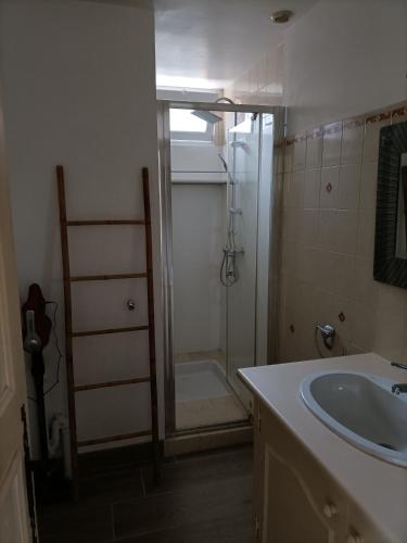 une salle de bain avec douche et lavabo dans l'établissement Gîte T3 Sarlat d'oie, à Sarlat-la-Canéda