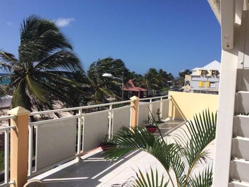 Studio lumineux avec vue sur la mer à Capesterre, 20 m², terrasse