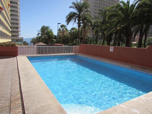 une grande piscine bleue avec des palmiers et des bâtiments dans l'établissement Apartamentos Alta, à Puerto de la Cruz