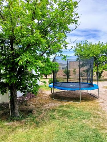 a trampoline in a yard next to a tree at Casa Las Margaritas in Cuatrociénegas de Carranza