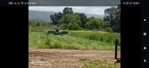 a train is on the tracks in a field at אחוזת המייסדים in Bet Hillel