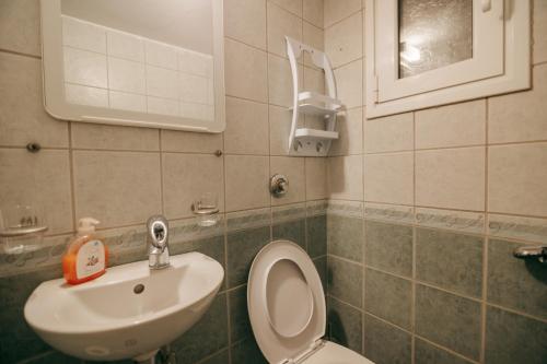 La salle de bains est pourvue de toilettes et d'un lavabo. dans l'établissement Acropoli's balcony, à Athènes