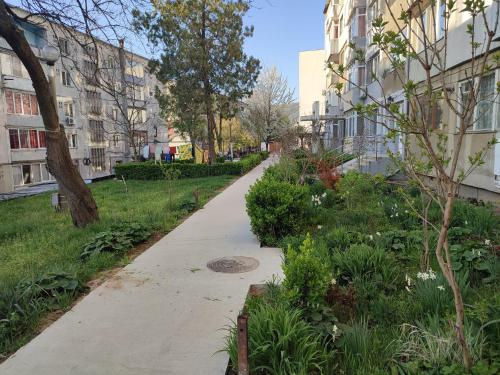 Κήπος έξω από το Apartament Primavera Orsova