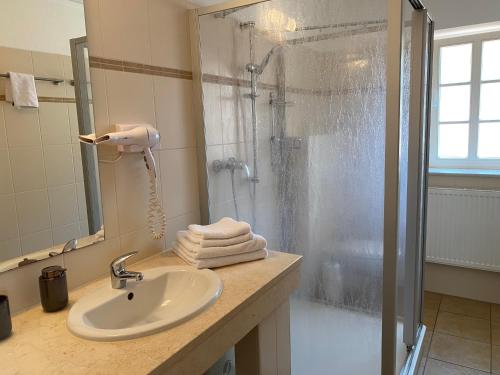 Bilik mandi di Apartmenthaus Zentral Bad Schandau