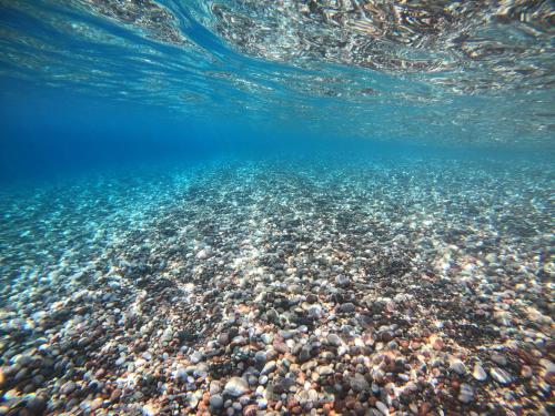 - la fermeture d'un récif corallien dans l'océan dans l'établissement Ktima Tzaneti - Coastal Farmhouse, à Lakhania