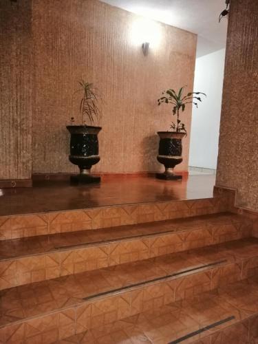 two potted plants sitting on top of some stairs at Hotel Las Américas in Morelia