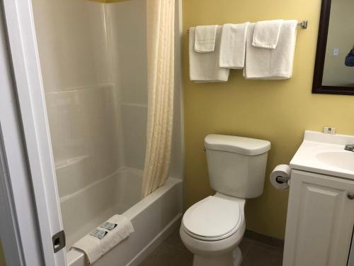 a bathroom with a toilet and a shower and a sink at Rosewood Motel in East Wareham
