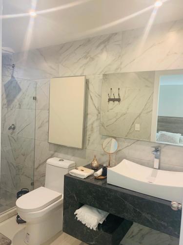 a bathroom with a toilet and a sink and a mirror at LA GRANDE MAISON in Aguascalientes