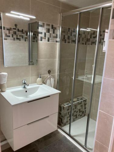a bathroom with a sink and a shower at Mas de la Vieille Vigne in Argelès-sur-Mer