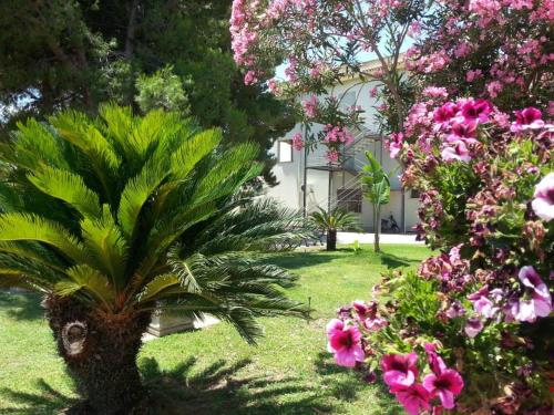 a palm tree in a garden with pink flowers at Hotel Park Jonio in Steccato