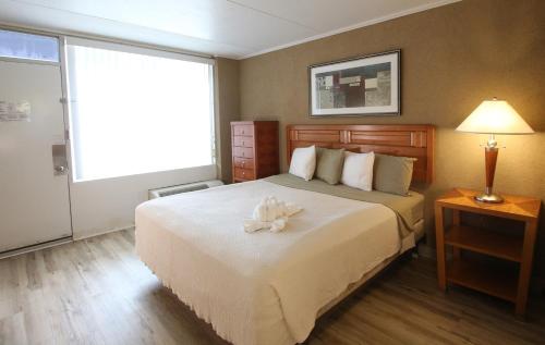 ein Hotelzimmer mit einem Bett mit einer weißen Blume darauf in der Unterkunft Crusader Oceanfront Resort in Wildwood Crest
