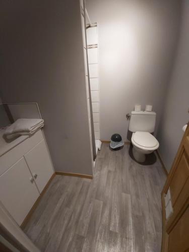 a small bathroom with a toilet and a sink at La chaumiere in Seyne