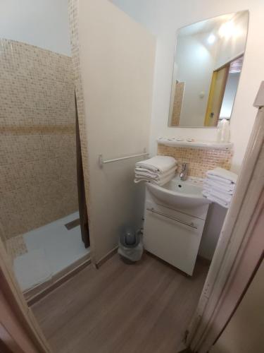 a bathroom with a shower and a sink and a mirror at La chaumiere in Seyne