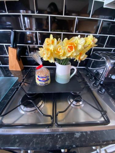 Dapur atau dapur kecil di Swansea Log Cabin