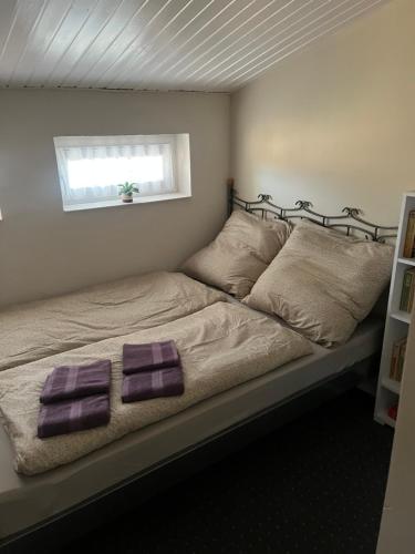 - une chambre avec un lit et 2 serviettes pourpres dans l'établissement Gästehaus Leon, à Wittemberg
