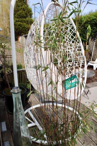 a white chair sitting next to a plant in a garden at Art-hill in Jabbeke