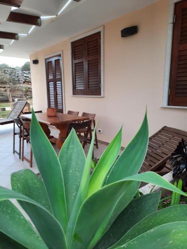 a plant in front of a patio with a table and chairs at Villa Oblò in Favignana