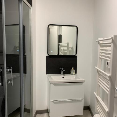 une salle de bain blanche avec un lavabo et un miroir dans l'établissement Appartement 4 PERSONNES EMPLACEMENT IDEAL PROCHE DES 24H ET GARE, au Mans