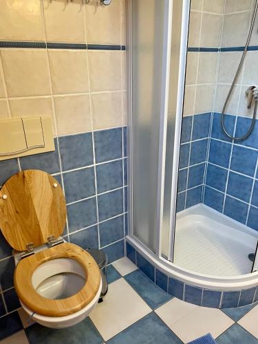 a bathroom with a toilet and a shower at Chata Vanda in Štrba