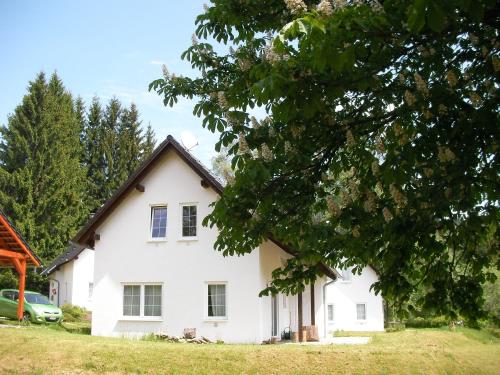 Uma casa branca com um carro verde à frente. em Dům na Lipně em Lipno nad Vltavou