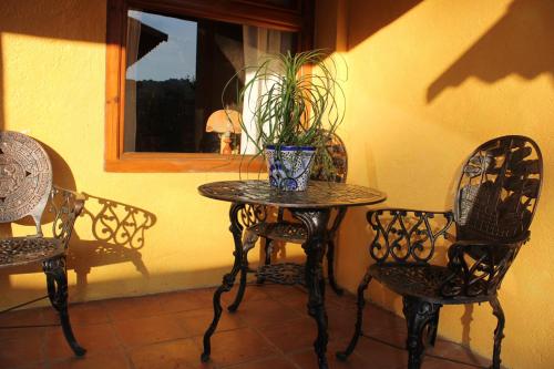 a table and chairs with a potted plant on it at Betos Departamentos in Valle de Bravo