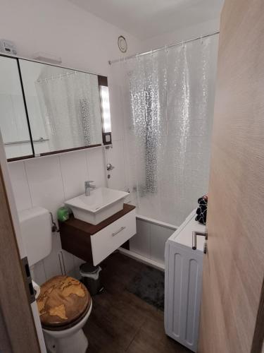 uma casa de banho com um lavatório, um WC e um chuveiro em Cityapartments MH em Mülheim an der Ruhr