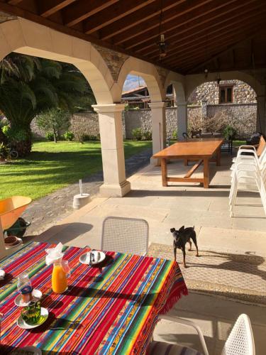 un chat debout à côté d'une table sur un patio dans l'établissement Posada El Urogallo en Renedo de Cabuérniga, à Renedo