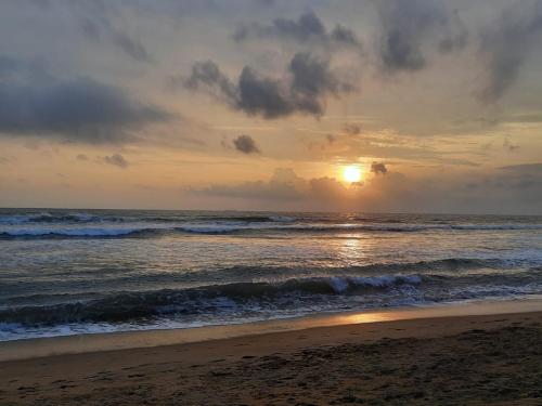 Lavila beach resort – Photos 4