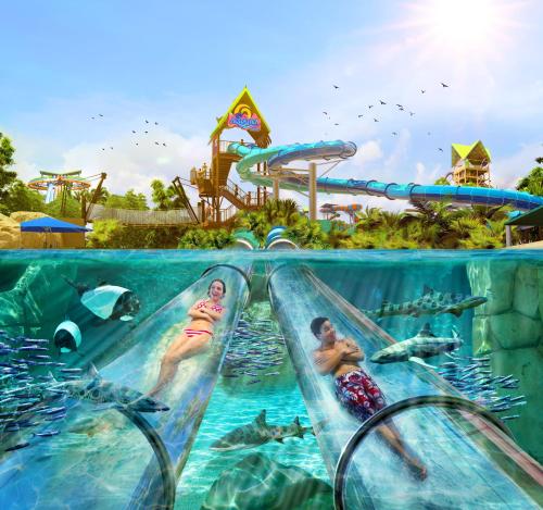Бассейн в Staybridge Suites Orlando at SeaWorld by IHG - Free Parking & Shuttle to Seaworld Parks или поблизости
