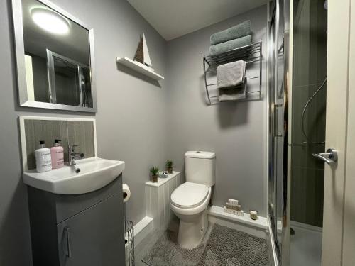 a bathroom with a toilet and a sink and a shower at Westend Holiday Let 4 Brecon in Brecon