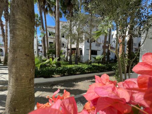 a bunch of pink flowers in front of a building at Complexe Al AMINE plage -rifiyine in Dar Merah Deriba