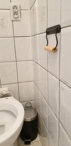 a bathroom with a toilet and a trash can at Maison entre relooking et modernité dans un cadre verdoyant pour amoureux de grands espaces in Nogent-sur-Vernisson