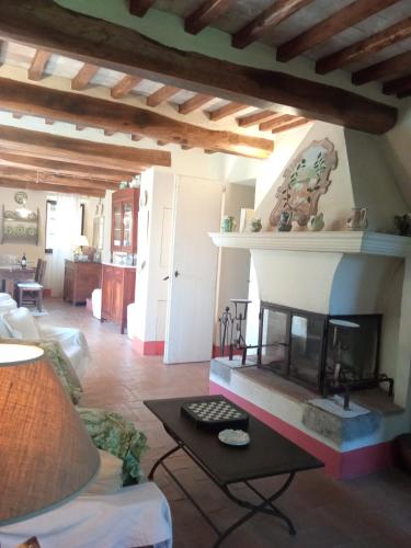 a living room with a fireplace in a house at Casa Demo in Fighine