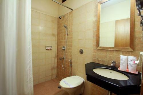 y baño con lavabo, aseo y espejo. en Hotel Roopa en Mysore