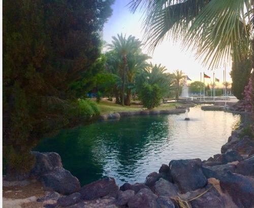 a pond with rocks and palm trees in a park at Beautiful apartment near LaMata Beach with PANORAMA SEA view!!! in Torrevieja