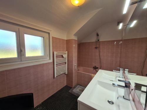 ein Badezimmer mit einem weißen Waschbecken und einer Dusche in der Unterkunft Gîte Villentrois-Faverolles-en-Berry, 6 pièces, 10 personnes - FR-1-591-47 in Villentrois