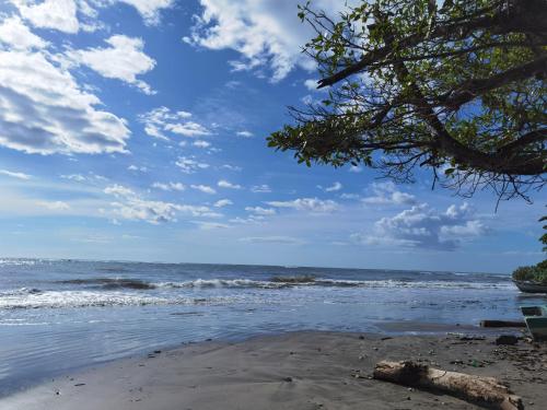 a beach with a tree and the ocean at HOTEL GEORGI CR in Guanacaste