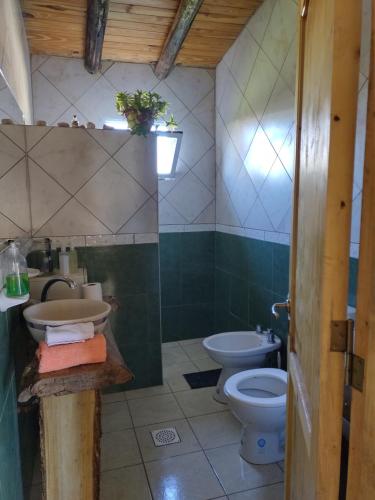 a bathroom with a toilet and a sink at Cabaña Hurú Zaha in La Consulta