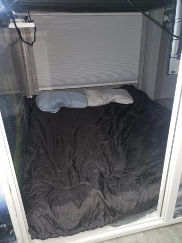 a small bed in a room with a window at Shared living NOT A HOTEL in Phoenix