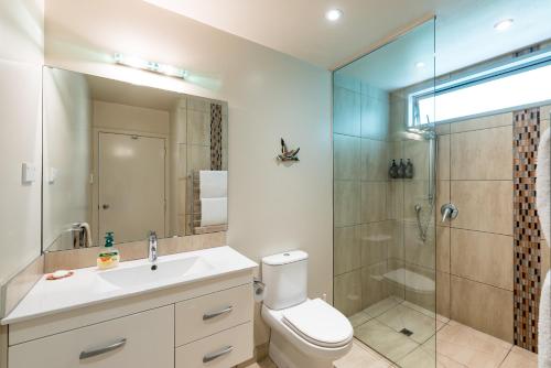 a bathroom with a shower and a toilet and a sink at Golden Sand Beachfront Accommodation in Coopers Beach