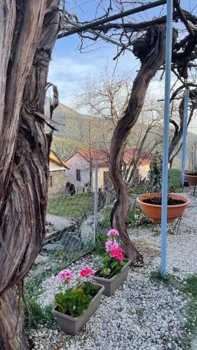 a group of flowers in pots next to a tree at Holiday House Prodromos in Prodromos