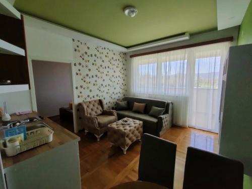 a living room with a couch and a chair at Apartman Zelenika in Banja Koviljača